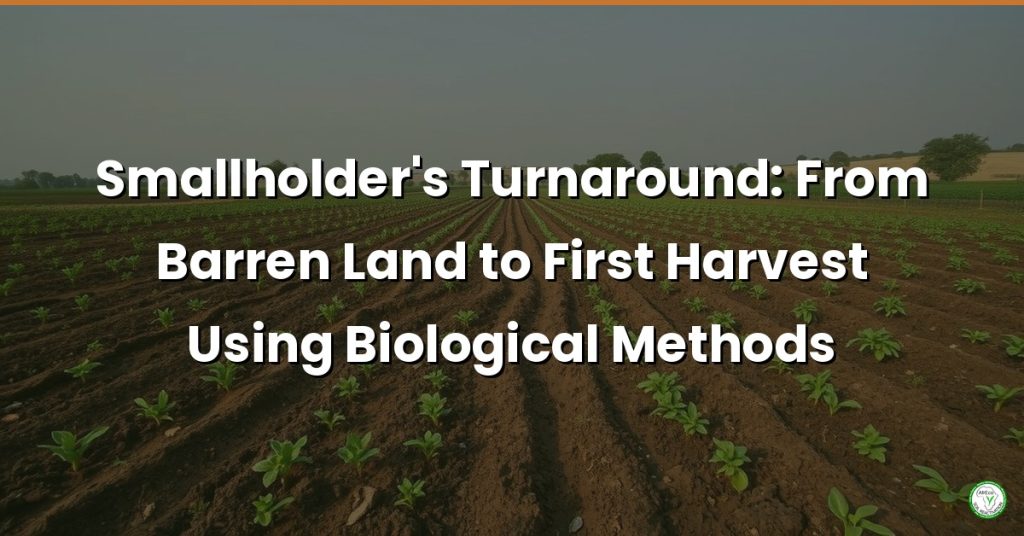 Smallholder's Turnaround: From Barren Land to First Harvest Using Biological Methods