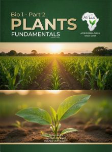 Plants — Bio 1 Part 2