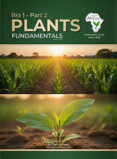 Plants – Bio 1