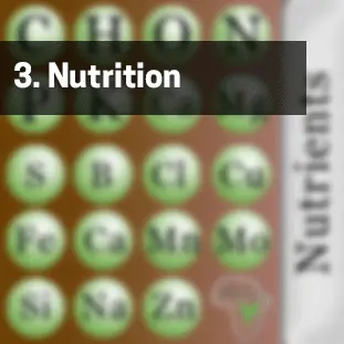 3. Nutrition