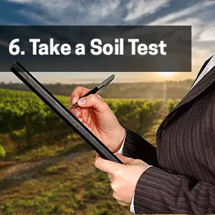 6. Take a Soil Test