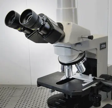 Soil under the microscope — the living biology beneath your feet